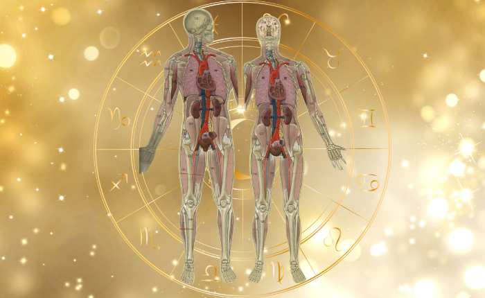 Curso de Astrología Médica